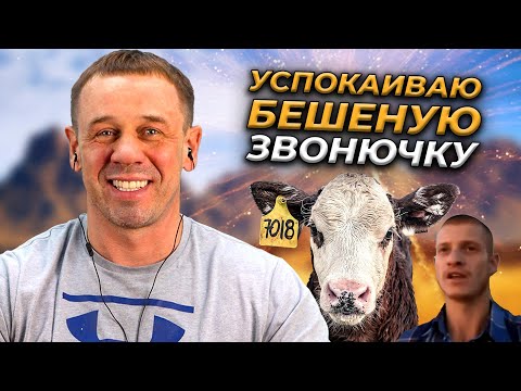 ЧЕРТИ СНОВА ЗАБИВАЮТ СТРЕЛКУ! | БАНКРОТСТВО | Кузнецов | Аллиам
