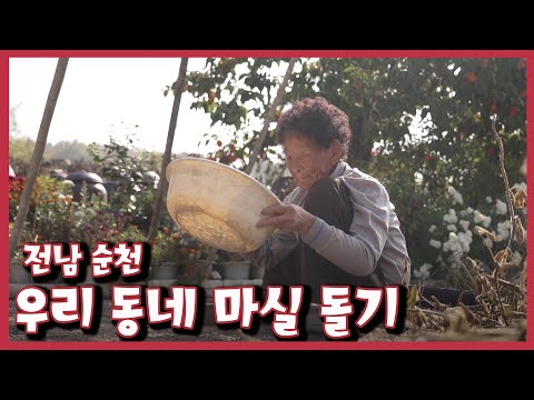 [남도지오그래피] 우리 동네 마실돌기–전남 순천｜KBS 221108 방송