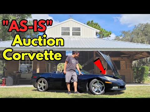 I Was the ONLY Bidder on this 250,000 Mile AS-IS Corvette! How Bad Could it Be?