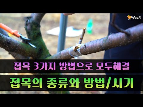 Types, methods, and timing of grafting, all solved in 3 ways!