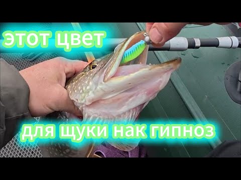 Рыбалка. Этот цвет для щуки как гипноз