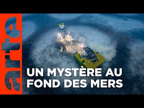 Cap Corse, le mystère des anneaux | ARTE