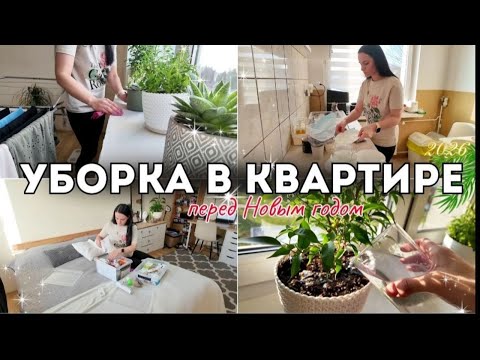 👉 МОТИВАЦИЯ НА УБОРКУ ПЕРЕД НОВЫМ ГОДОМ ✨ УБОРКА КУХНИ + ЦЕЛИ НА 2026
