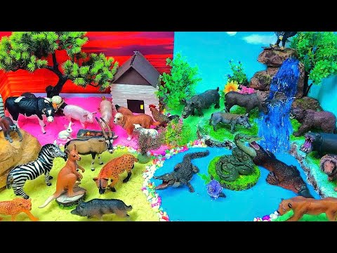 Farm vs Forest vs Savanna: Learn Animal Habitats with Diorama