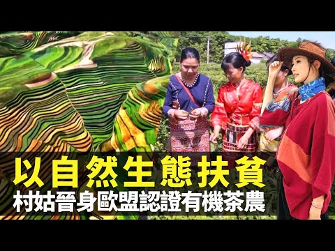 無窮之路｜陳貝兒目睹中國自然生態扶貧 海南熱帶雨林黎族大叔脫貧又脫單｜山村姑娘晉身有機茶農園主 通過逾400項歐盟認證｜寧夏西海固連通水源由沙海變綠洲 大豆蘋果成絕配