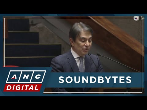 Tiangco hits PCIJ: ‘I expect more fact-checking’ | ANC