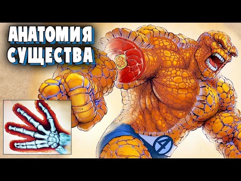 Анатомия: Существо (Фантастичная Четверка)