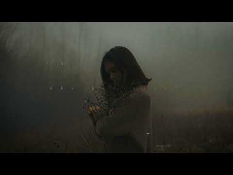 Max Richter Special Collection by dhe Perissann (playlist)