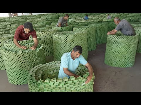 Inside Giant Factory Producing Millions of Olive Oil Soap Bars by Hand