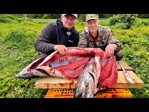 WHY GO TO KAMCHATKA? MOUNTAINS OF RED CAVIAR AND HUGE SALMON