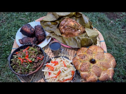 የጫካ እንግዳ /the jungle guest 