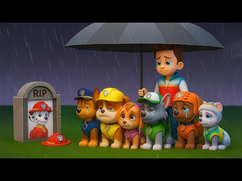 Marshall Please Come Back...We Will Miss You So Much | PAW Patrol Ultimate Rescue | Rainbow 3