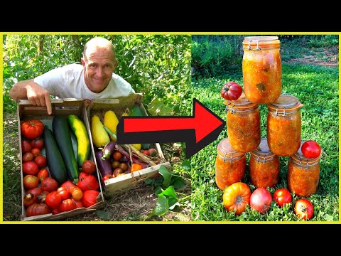 the best ratatouille in the world (from harvest to can)