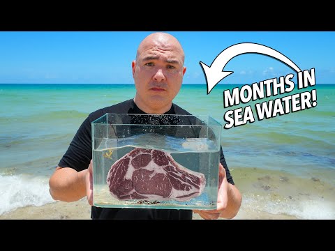 I soaked Steaks in SEA WATER for months and ate it!
