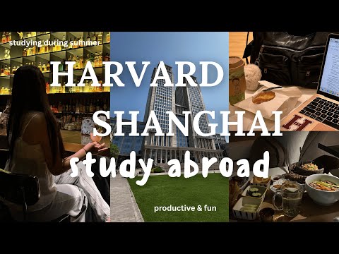 harvard → shanghai study abroad vlog 📚 fudan university, study motivation, productivity