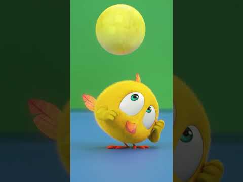 Chicky and his new friend #chicky | Chicky Cartoon in English for Kids