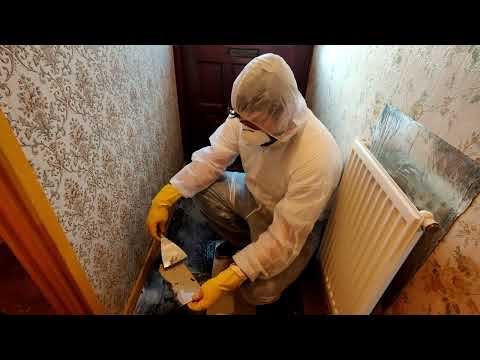 House renovation #2 removing asbestos floor tiles