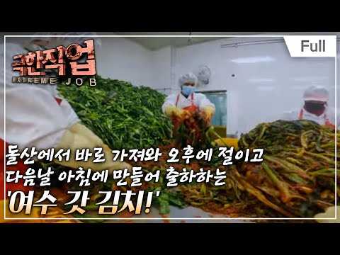 [Full] 극한직업 - 여수, 봄을 여는 사람들