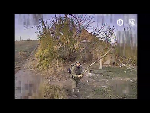 Щось з лицем, хробак. Знимкують Птахи Мадяра.