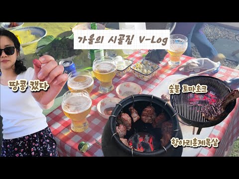 땅콩캐고 고기 먹음 힐링굿