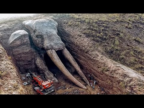 WIE IST DAS ÜBERHAUPT MÖGLICH!? Dieser Fund HAT ALLE WISSENSCHAFTLER ERSCHRECKT