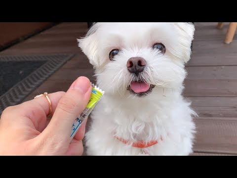 Day trip glamping without seasickness