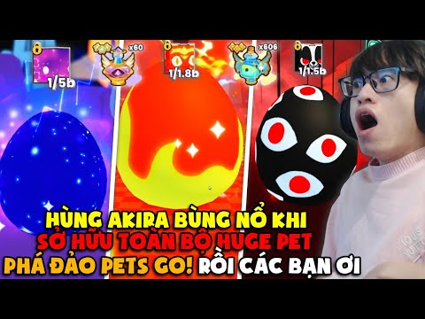 HÙNG AKIRA DÙNG 60 GOD POTION VÀ 500 BÌNH 2.500.000% LUCKY TRÚNG TẤT CẢ 7 HUGE PET PHÁ ĐẢO PETS GO!