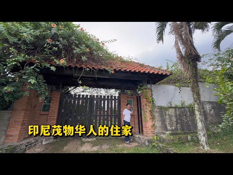 🇮🇩看看印尼茂物华人的房子，了解他们的生活！KEDIAMAN ORANG TIONGHOA!