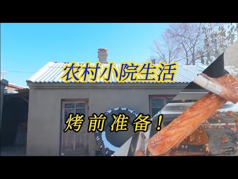农村小院生活，零下20度挑战户外烤肠摊儿 #创业 #哈尔滨 #农村生活 #8090后 #美食 #熱門