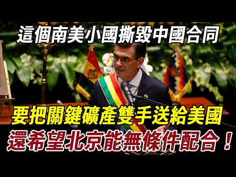 這個南美小國背信棄義，撕毀中國合同，要把關鍵礦產雙手送給美國，還希望北京能無條件配合！#历史 #科普 #始料未及