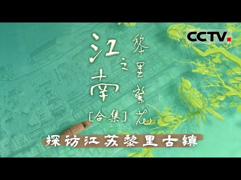 全面展现江南小城之美！以黎里为坐标 沿着黎川水 吴声歌 原乡图 回溯江南水乡的“源与流”【CCTV纪录】
