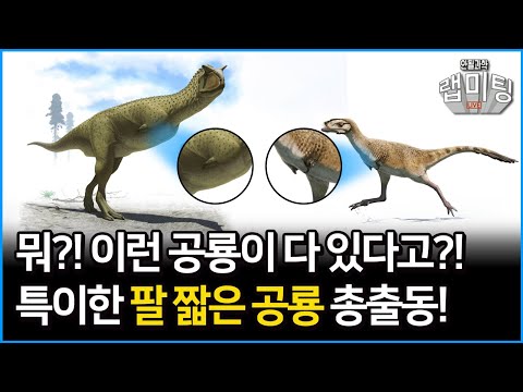 뭐?! 세상에 이런 공룡이 다 있다고?! 특이한 팔 짧은 공룡 총출동! [안될과학-랩미팅]
