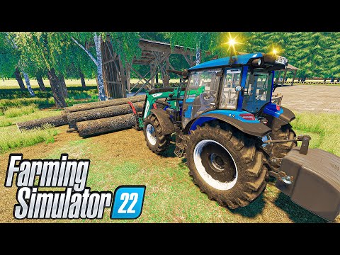 13 Years with 0$ on "1 tile map"