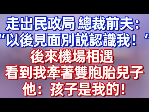 【完結】走出民政局總裁前夫：“賠償已給，以後見面別説認識我”後來機場相遇，看到我牽著雙胞胎兒子，他：孩子是我的！#夜讀人生 #碧荷講故事 #深夜淺讀 #情感 #完结文 #情感故事  #老年生活