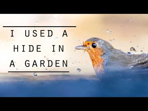 Garden Bird Photography - Putting a Hide by the POND!