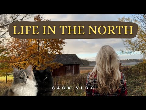 Living life with my cats in rural Sweden | calm | slowliving