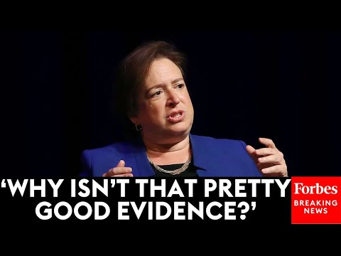 Elena Kagan Asks Attorney: Why Can't States Restrict Guns, But They Can Restrict Other Things?
