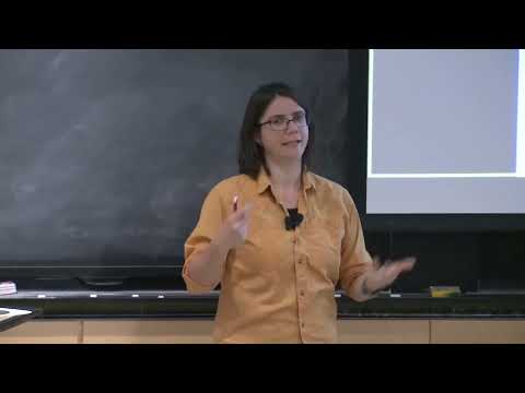 Lecture 24: Sorting Algorithms