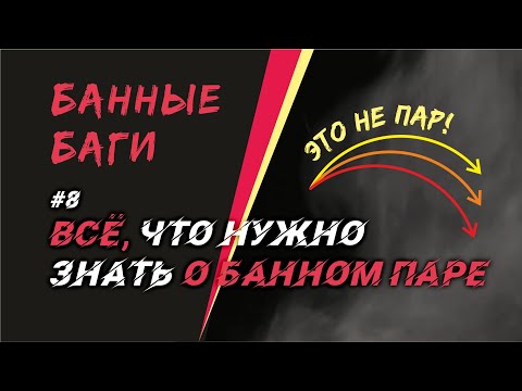 All About Steam in the Sauna | BATH BUGS #8