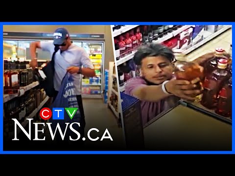 Title: Top 10: LCBO thefts caught on camera