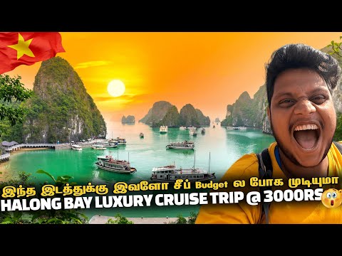 Can these people go to this place on a cheap budget? Halong bay LUXURY CRUISE trip @ ₹3000 | Viet...