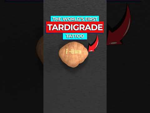 Scientists Give Tardigrade World's Smallest Tattoo