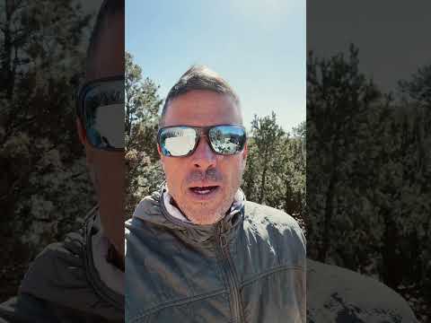 Zebra Sarasa Grand pen. The Toyota Cressida of pens. #newmexico #pen #zebrapen