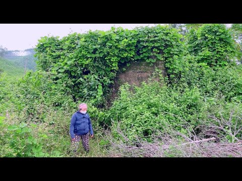 I did not believe that this was the old house of 68 year old Mrs  Hien, but then I was surprised