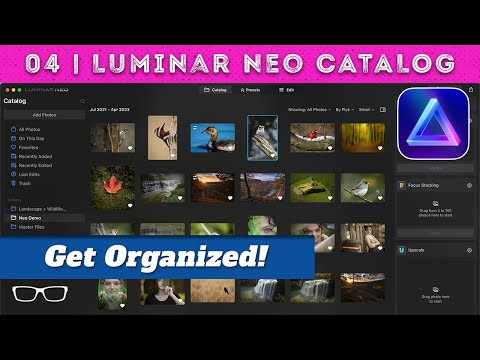 How to Organize Photos in Luminar Neo (The Fast Way)
