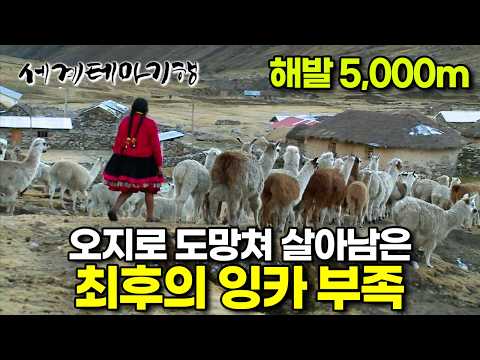 숨어 산 세월만 500년. 아무도 찾을 수 없게 안데스 산맥 깊은 곳으로 꼭꼭 숨어버린 최후의 잉카 부족 | 페루 오지 부족 ‘께로족’ | 세계테마기행 | #세테깅