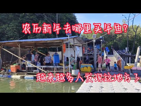 买年鱼的好去处 / 保证新鲜 / #渔村生活  / 都是当天捕当天卖的海鲜 / #年鱼 / Where To Buy Fish for Chinese New Year??