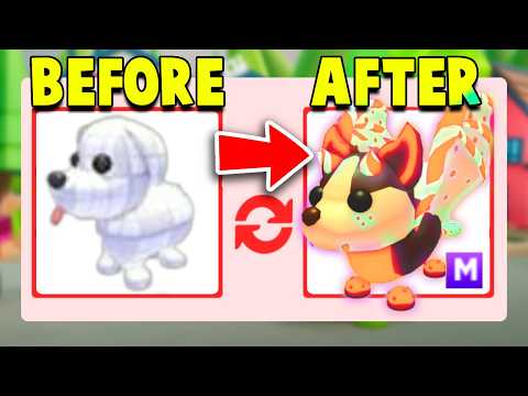 Making A POOR Account RICH In 24 HOURS Adopt Me