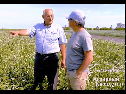 Малышко Ю. М. - первый среди лучших. No-Till в Казахстане