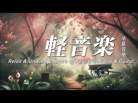 2小時輕音樂 | 夢染櫻霧——拾一抹幽靜，行於晨曦與花影之間 #早晨音樂 #softmusic